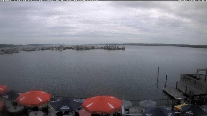 Digby Harbour