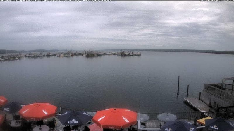 Digby Harbour