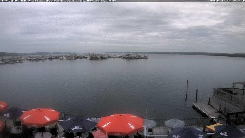 Digby Harbour