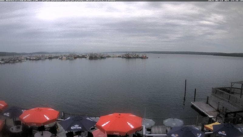 Digby Harbour