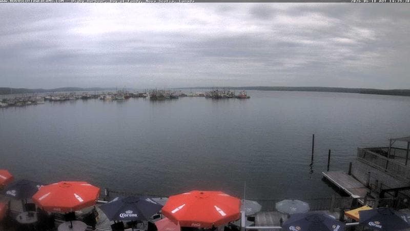 Digby Harbour