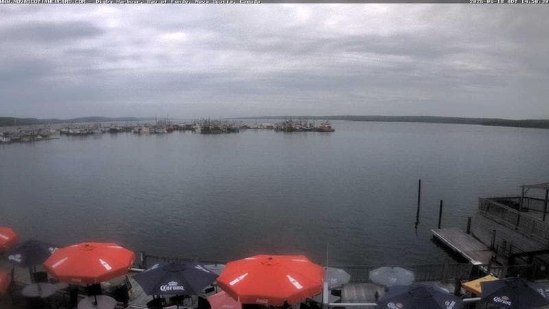 Digby Harbour