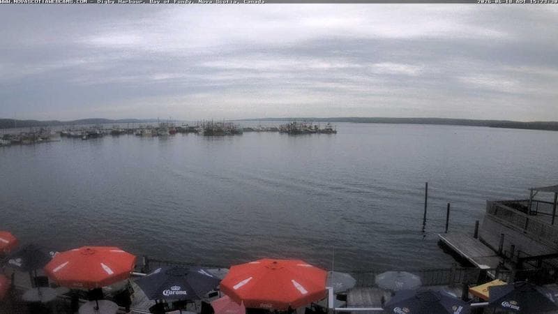 Digby Harbour