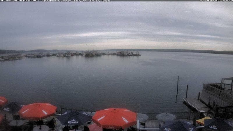 Digby Harbour