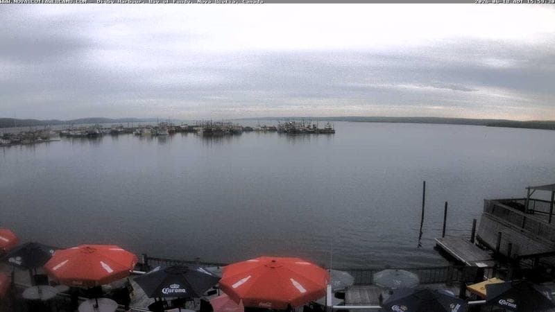 Digby Harbour