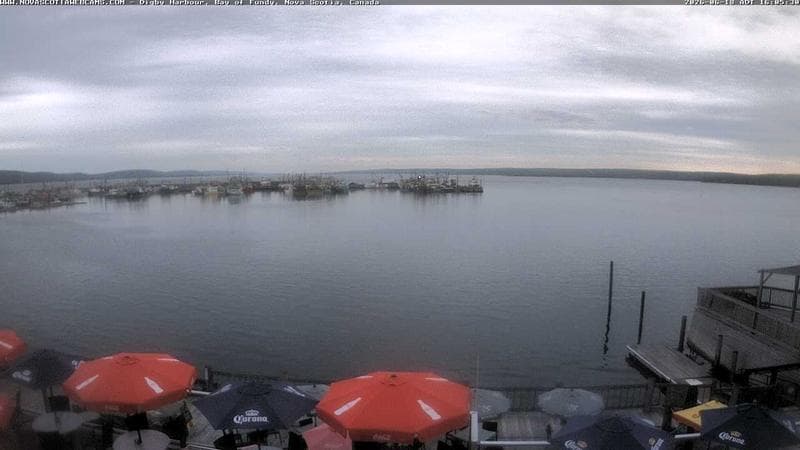 Digby Harbour