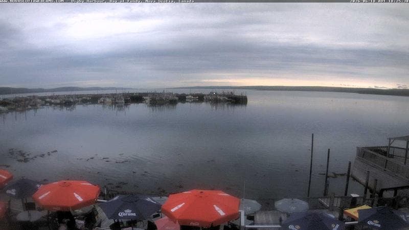 Digby Harbour