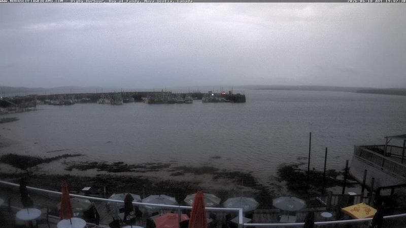 Digby Harbour