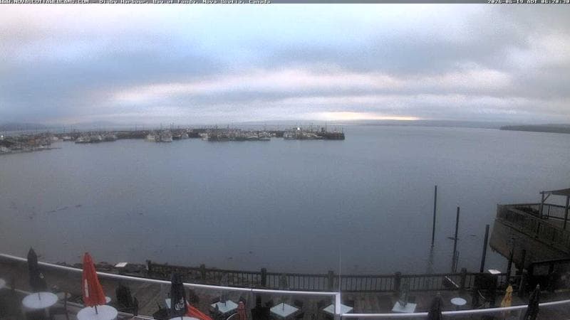 Digby Harbour