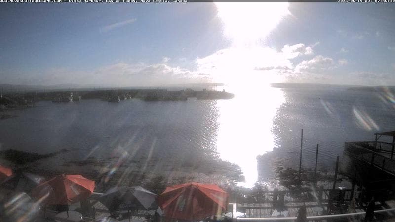 Digby Harbour