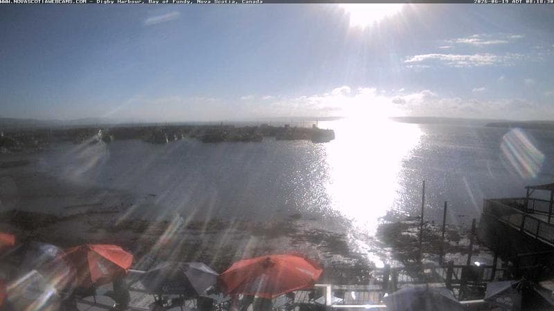 Digby Harbour