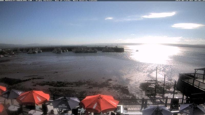 Digby Harbour