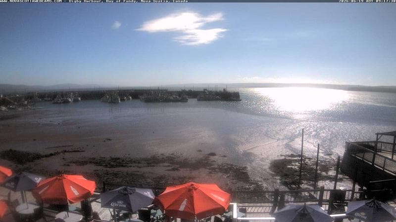 Digby Harbour