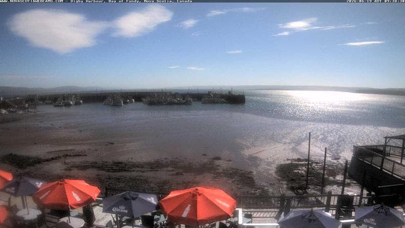 Digby Harbour