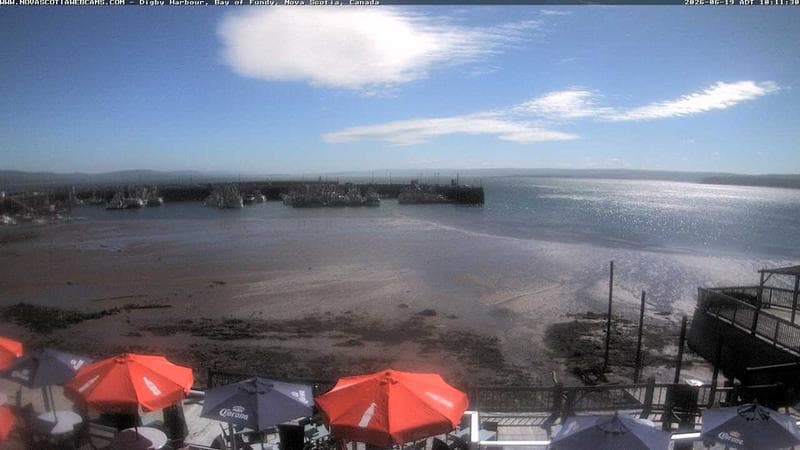 Digby Harbour