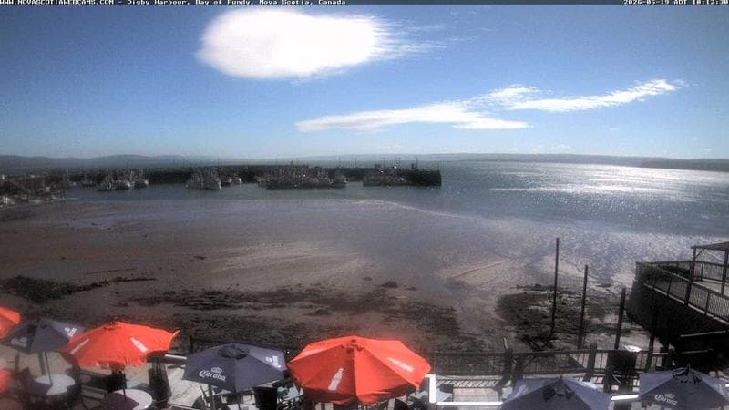 Digby Harbour