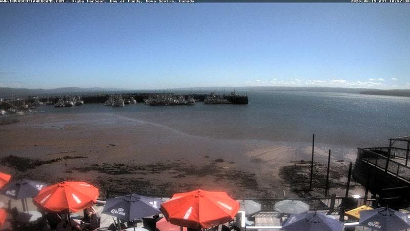 Digby Harbour