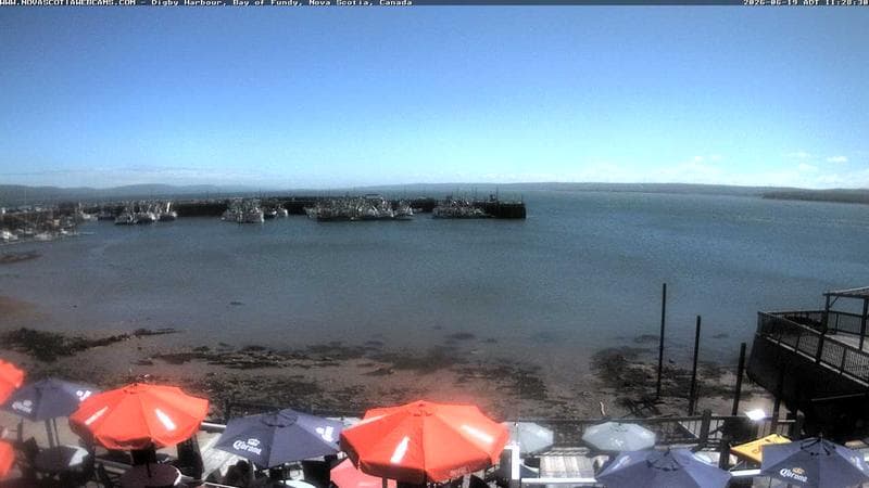 Digby Harbour