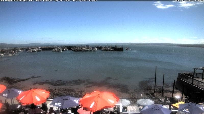 Digby Harbour