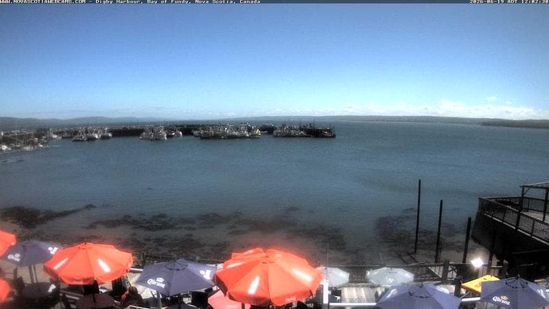 Digby Harbour