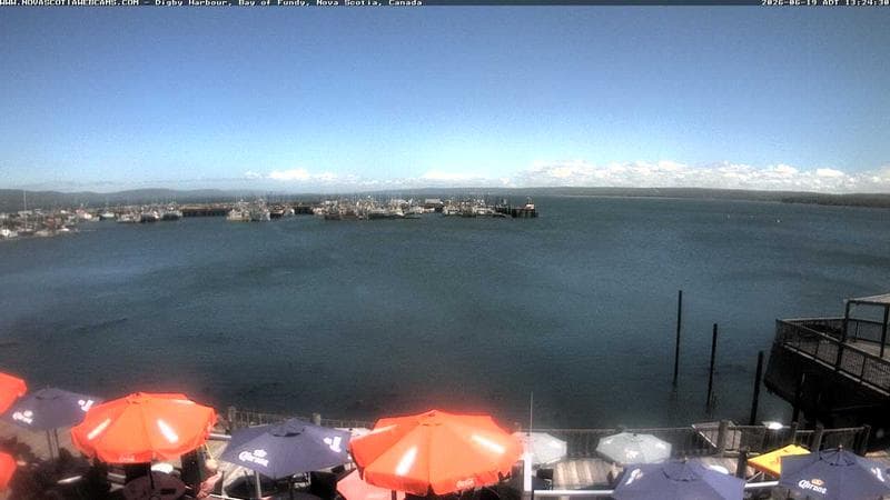Digby Harbour