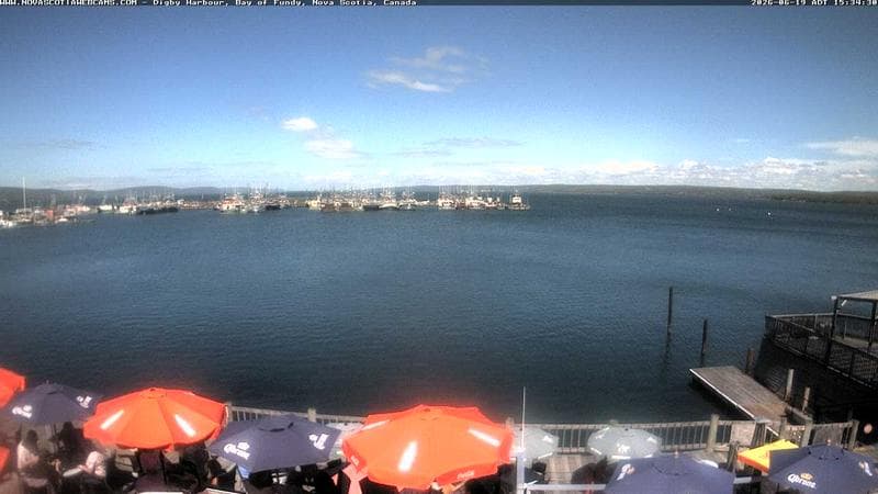Digby Harbour