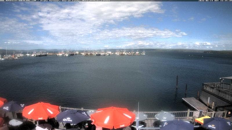 Digby Harbour