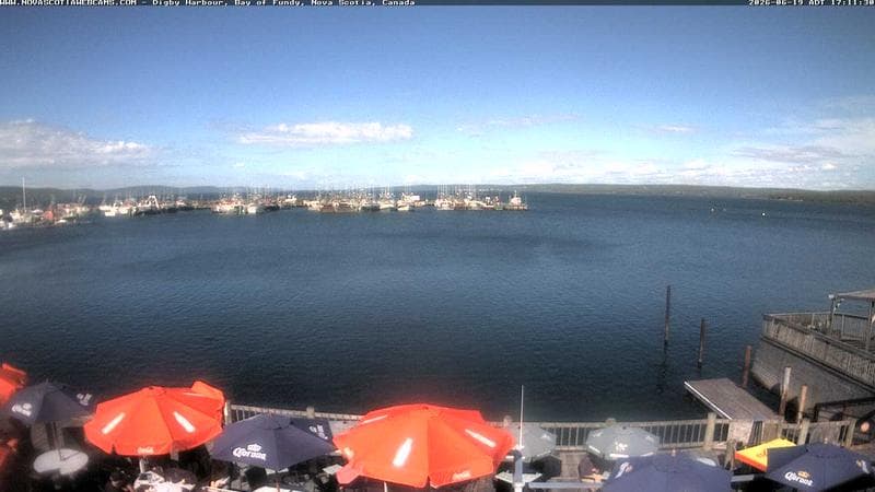 Digby Harbour