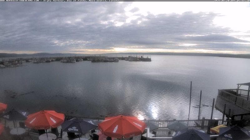 Digby Harbour