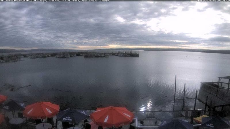Digby Harbour