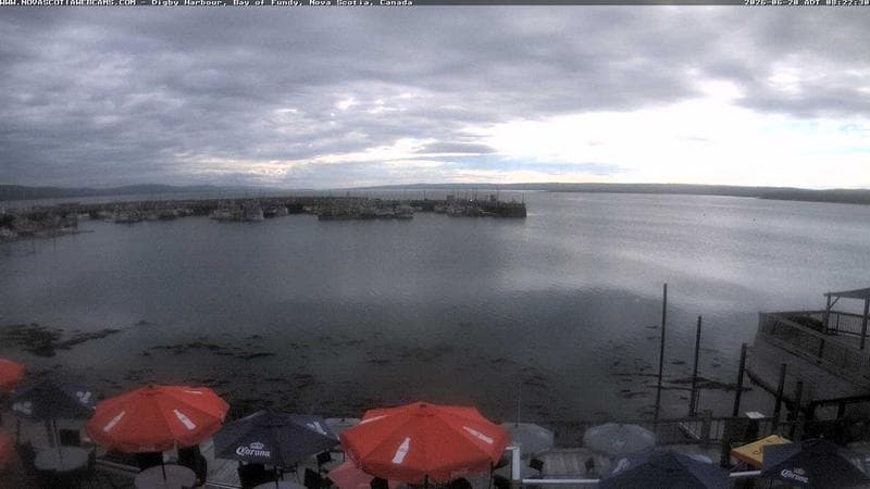 Digby Harbour