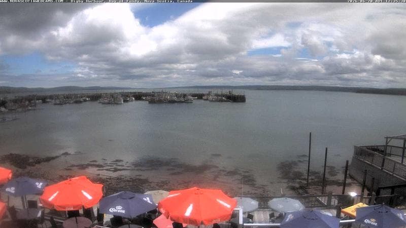 Digby Harbour