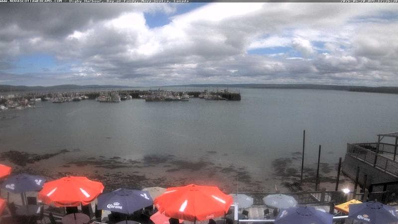 Digby Harbour