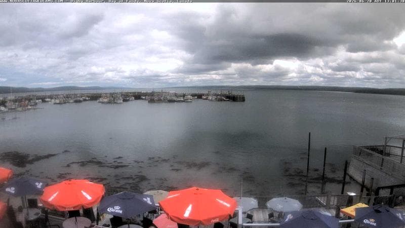 Digby Harbour