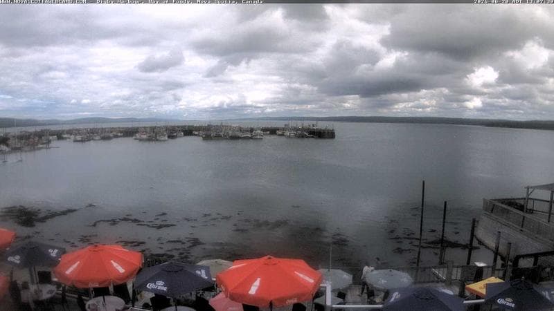 Digby Harbour