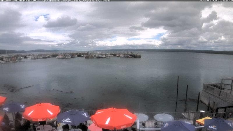 Digby Harbour