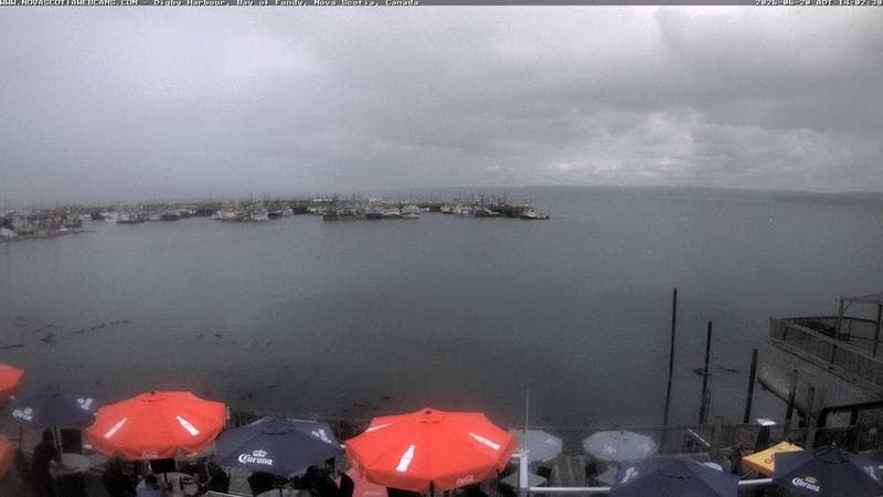 Digby Harbour