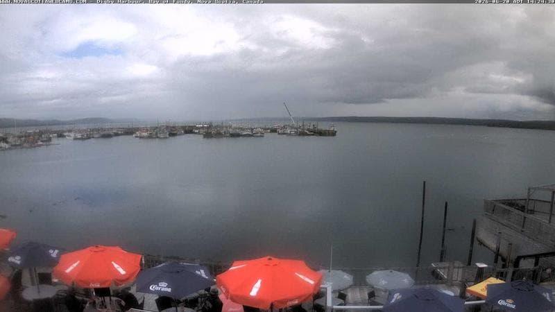 Digby Harbour