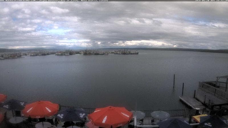 Digby Harbour