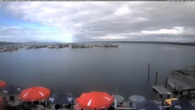 Digby Harbour