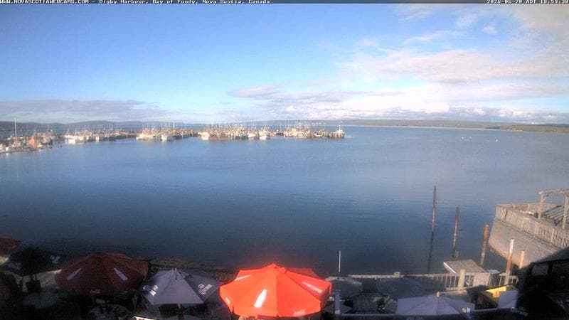 Digby Harbour