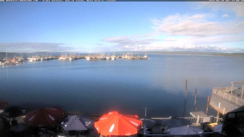 Digby Harbour