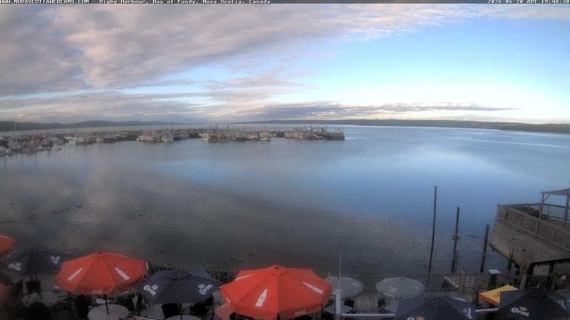 Digby Harbour