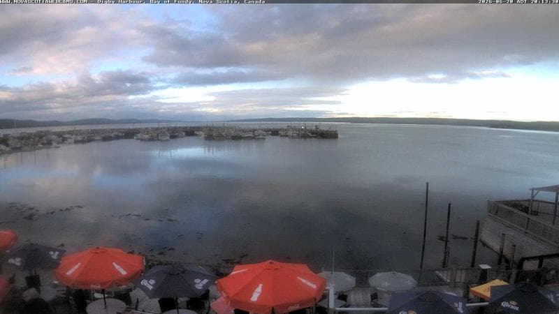 Digby Harbour