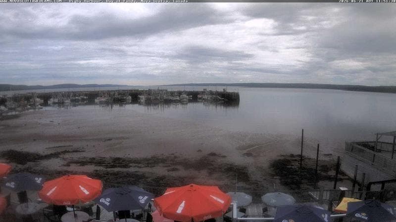 Digby Harbour