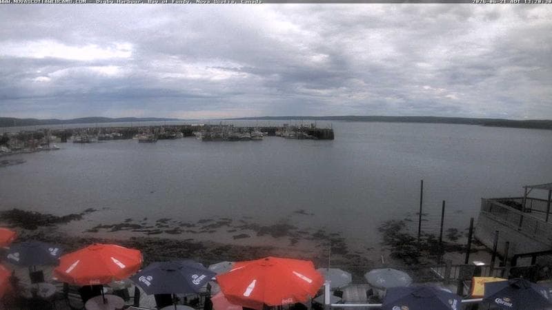 Digby Harbour