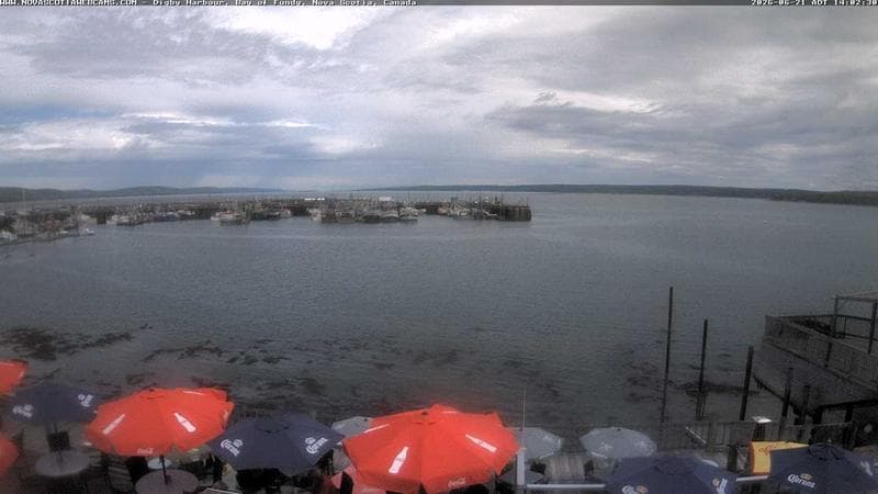 Digby Harbour