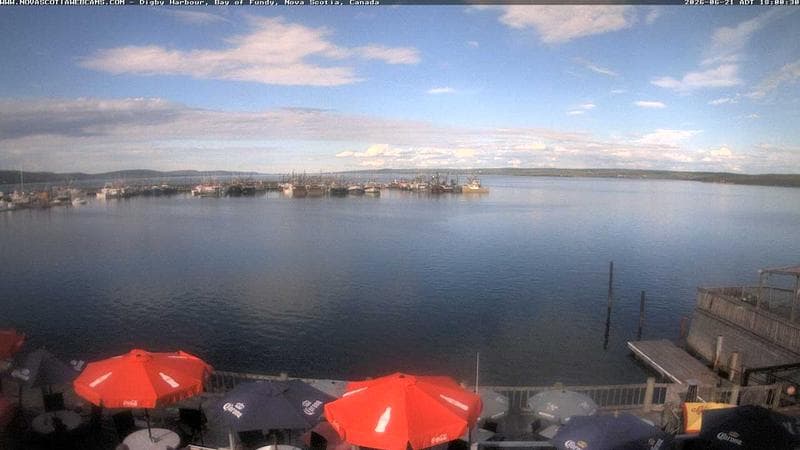 Digby Harbour