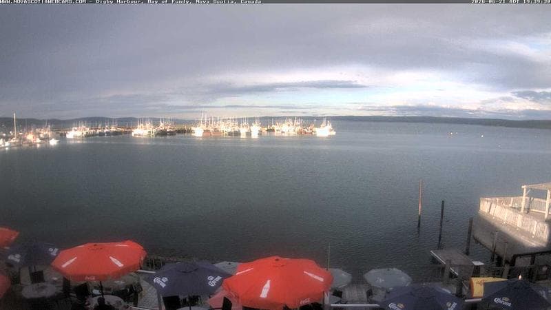 Digby Harbour
