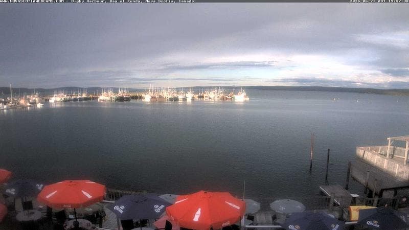 Digby Harbour